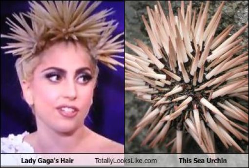 Funny Look Alikes. Part 3 (57 pics)