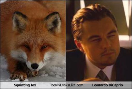 Funny Look Alikes. Part 3 (57 pics)