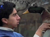 friday_gif_collection_15.gif