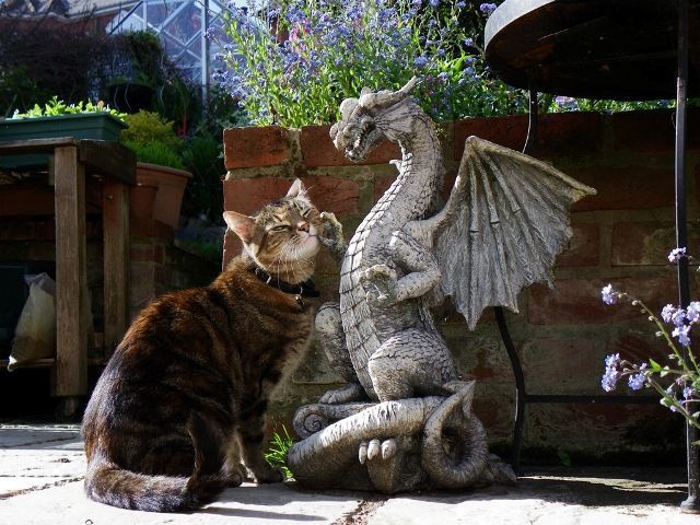 Daily picdump (116 pics)