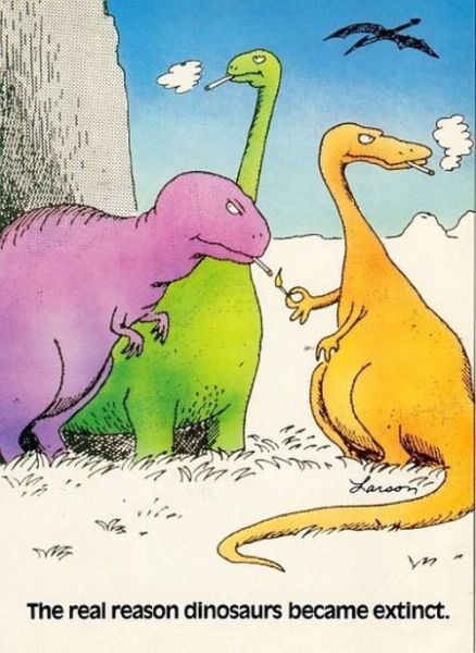 Daily picdump (116 pics)