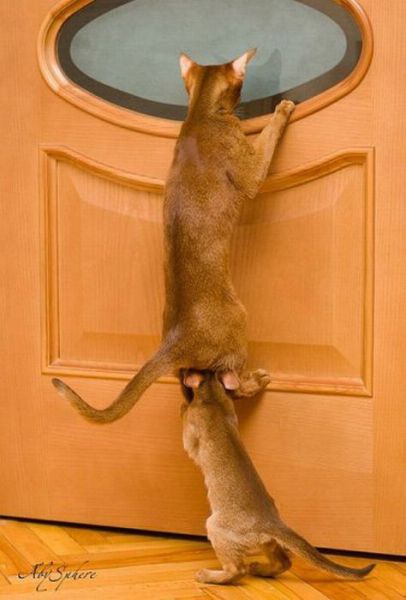 Daily picdump (116 pics)
