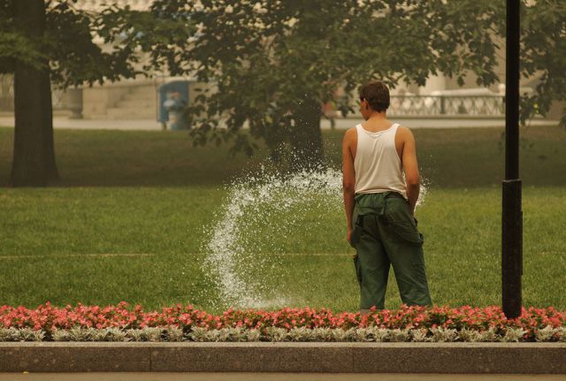 Daily picdump (116 pics)