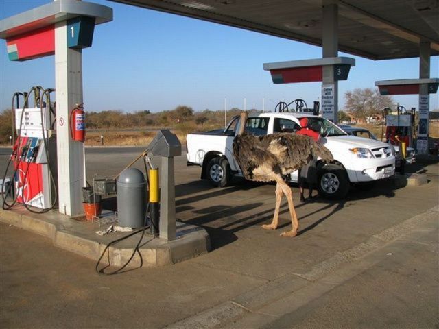 Daily picdump (116 pics)