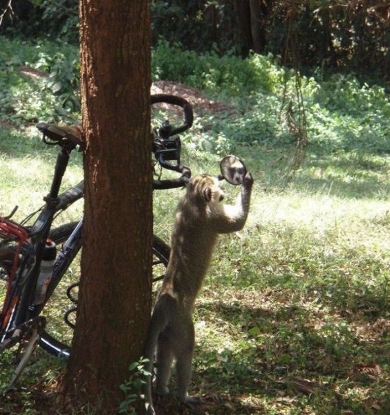 Daily picdump (116 pics)