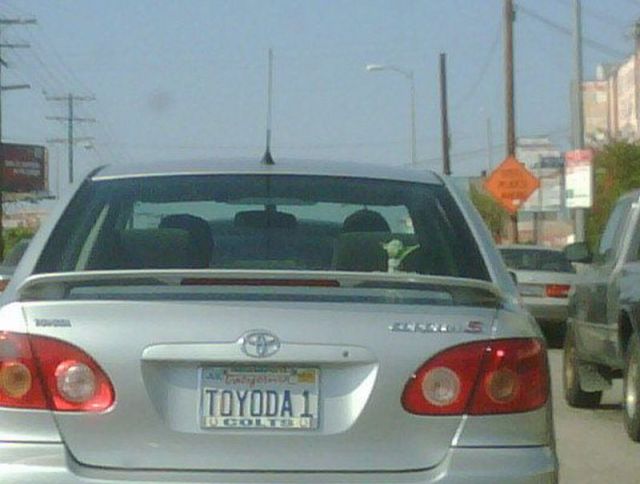 Daily picdump (116 pics)