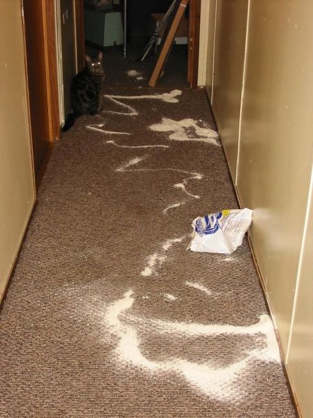 Daily picdump (116 pics)