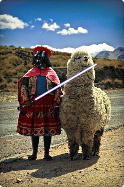Daily picdump (116 pics)