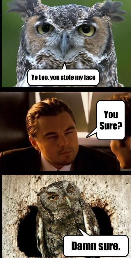 Daily picdump (116 pics)