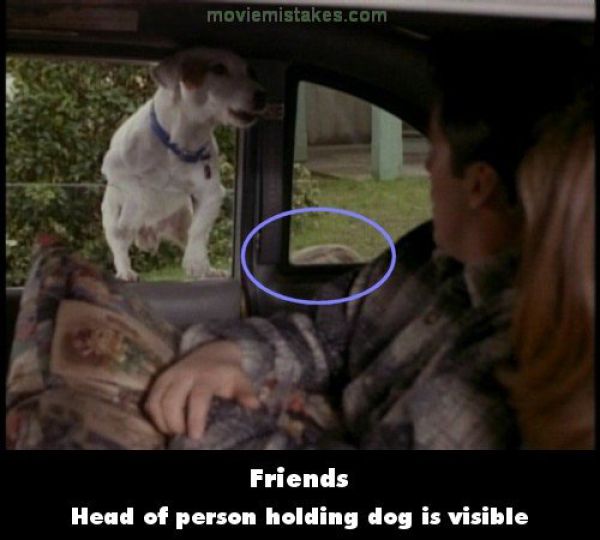 Top Friends Mistakes (20 pics)