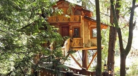 Beautiful Tree Houses (35 pics)