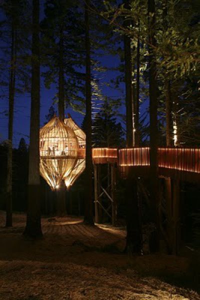 Beautiful Tree Houses (35 pics)