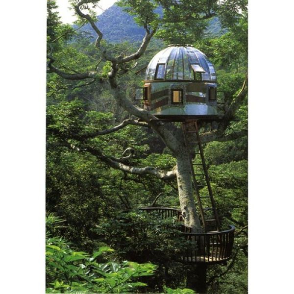 Beautiful Tree Houses (35 pics)