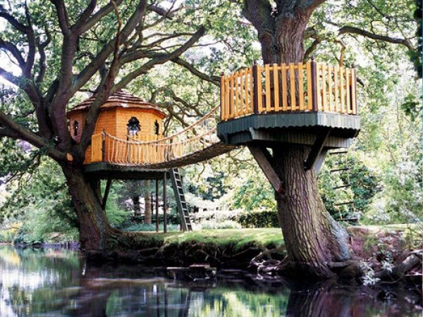 Beautiful Tree Houses (35 pics)