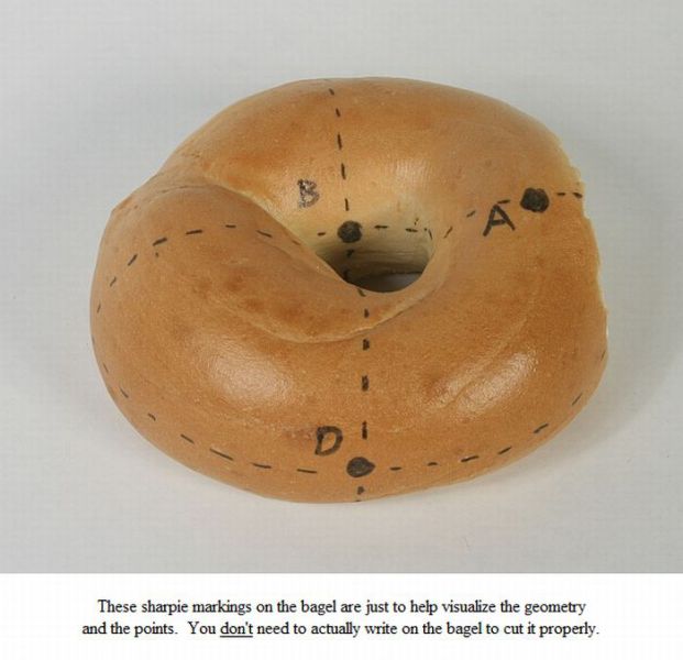 The Linked Bagel Slice (9 pics + 1 video)