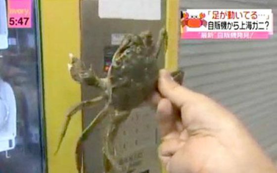 Uncanny Factoid: Got Crabs?  Chinese Do! (3 pics + 1 video)
