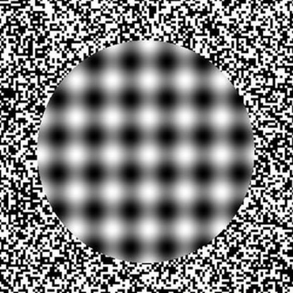 Cool Eye Deception Images (16 pics)