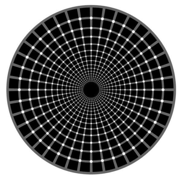 Cool Eye Deception Images (16 pics)