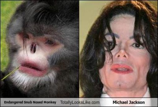Funny Look Alikes. Part 4