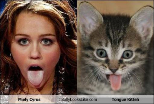 Funny Look Alikes. Part 4