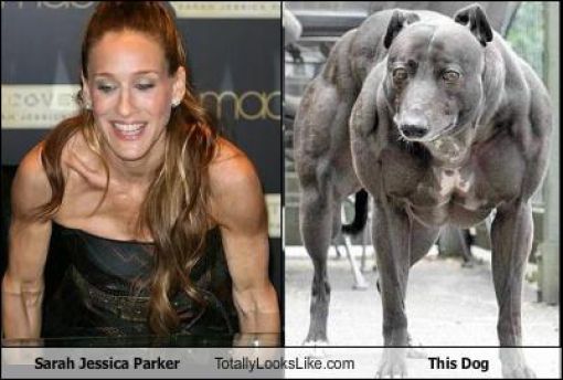 Funny Look Alikes. Part 4