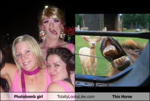 Funny Look Alikes. Part 4