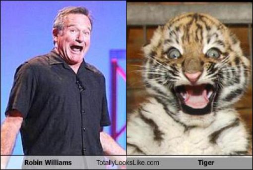 Funny Look Alikes. Part 4