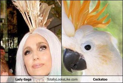 Funny Look Alikes. Part 4