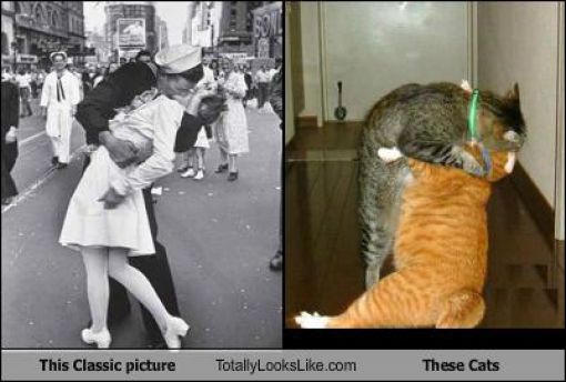 Funny Look Alikes. Part 4