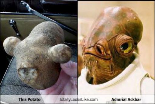 Funny Look Alikes. Part 4