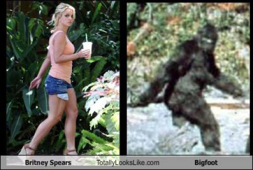 Funny Look Alikes. Part 4