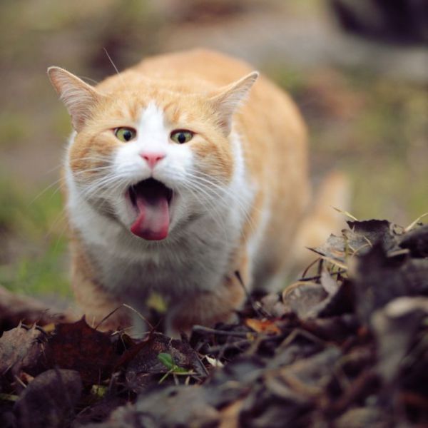 See cool images at Izismile.com
