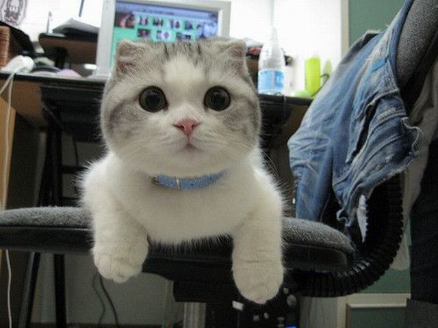 See cool images at Izismile.com