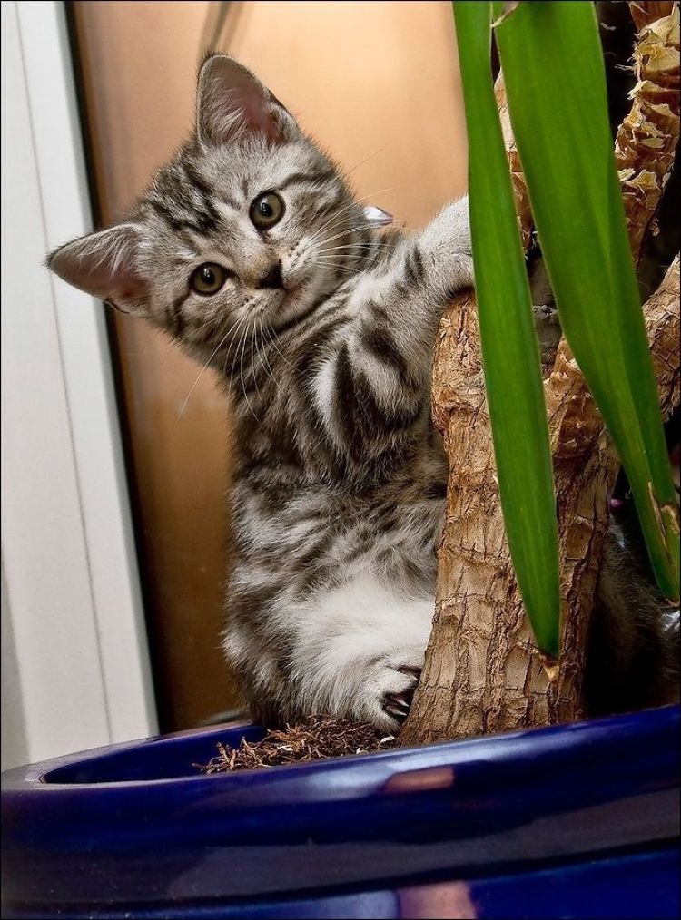 See cool images at Izismile.com