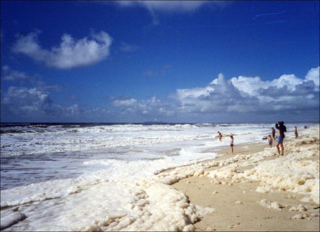 Sea Suds Covered the Coast of Australia