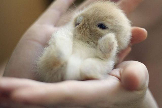 Really funny stuff - funny funny videos and photos at izismile.com