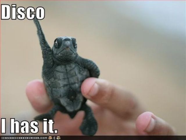 Really funny stuff - funny funny videos and photos at izismile.com