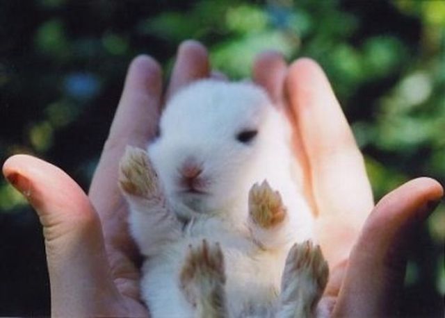 Really funny stuff - funny funny videos and photos at izismile.com