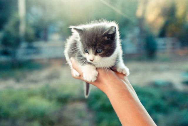 Really funny stuff - funny funny videos and photos at izismile.com