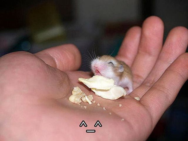 Really funny stuff - funny funny videos and photos at izismile.com