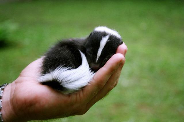 Really funny stuff - funny funny videos and photos at izismile.com