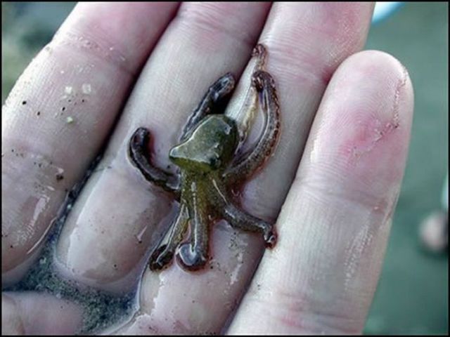 Really funny stuff - funny funny videos and photos at izismile.com