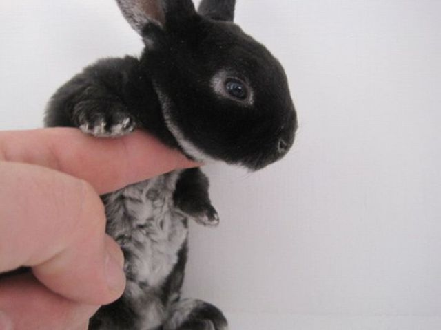 Really funny stuff - funny funny videos and photos at izismile.com