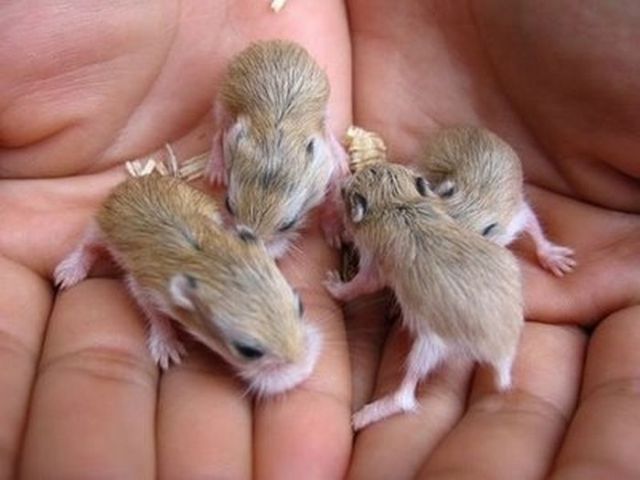 Really funny stuff - funny funny videos and photos at izismile.com