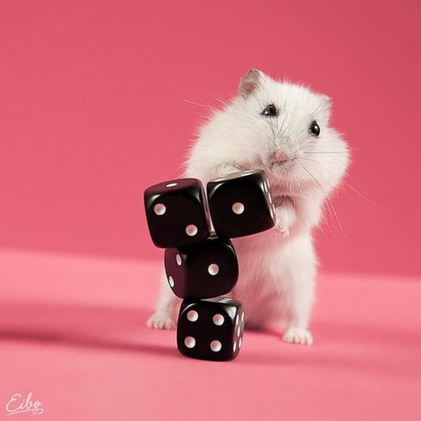 Really funny stuff - funny funny videos and photos at izismile.com