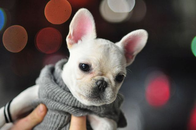 Really funny stuff - funny funny videos and photos at izismile.com