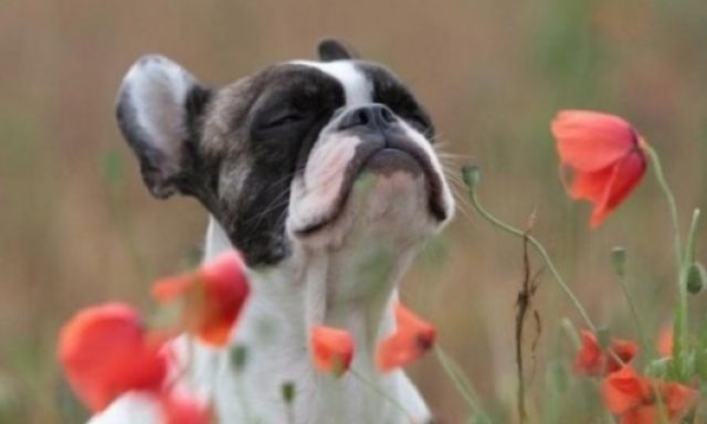 See cool images at Izismile.com