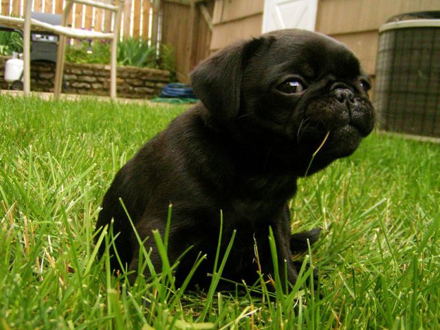 See cool images at Izismile.com