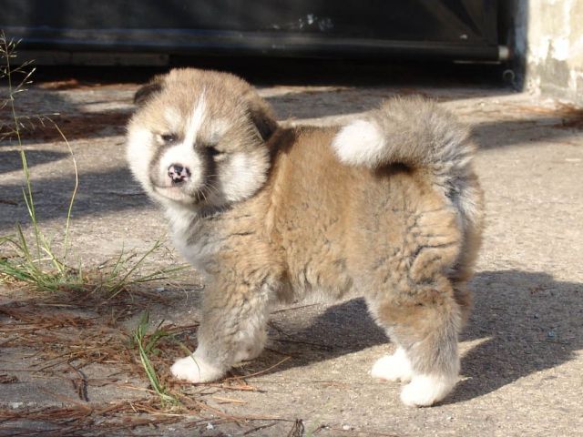 See cool images at Izismile.com