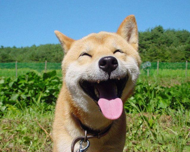 See cool images at Izismile.com